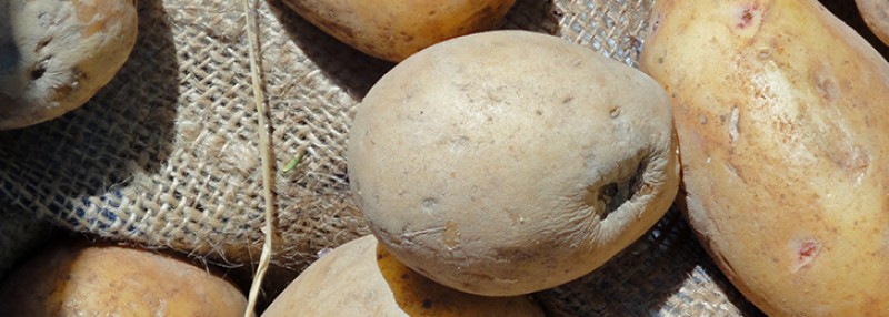 image of Variedades de patatas - A Fuego Lento